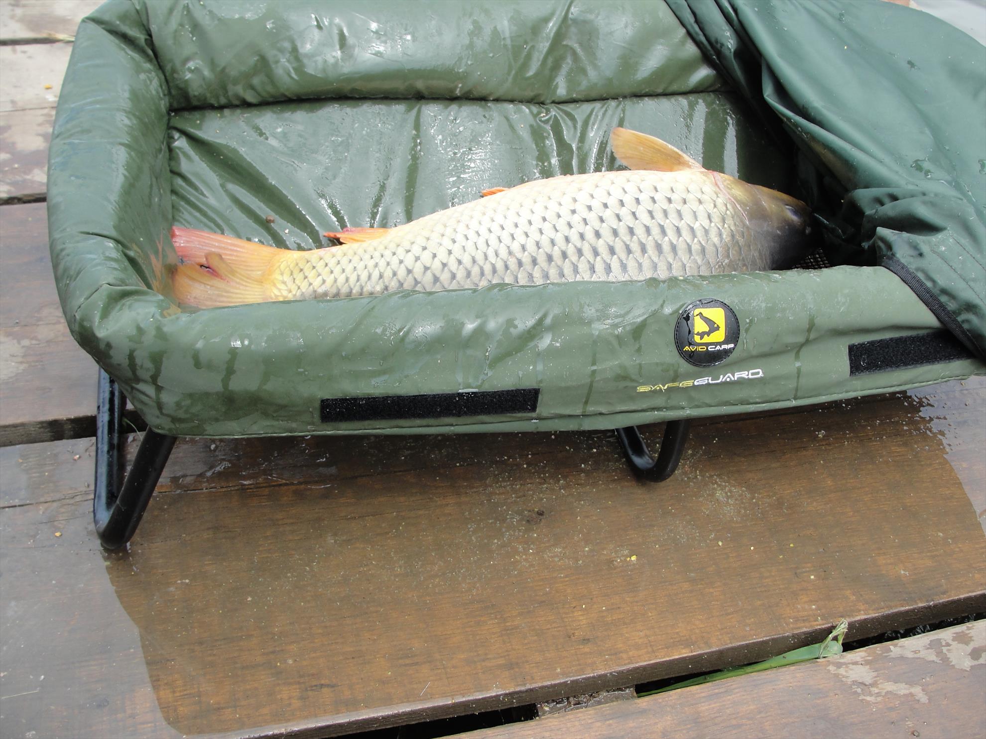 Magura 9 1 - 3 aug. - Cand fotograful e plecat dupa bere....